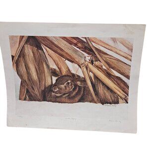 Bunny Print By Elaine Neeley Winter Refuge Signed Numbered Rabbit Easter